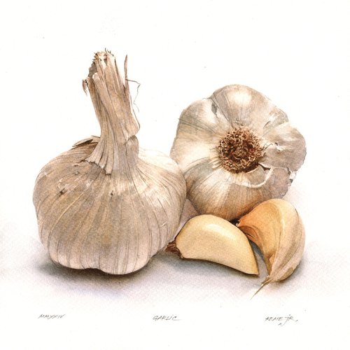 Garlic II by REME Jr.