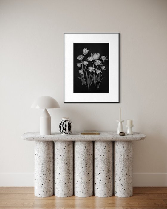 Tulips, Black and white flowers