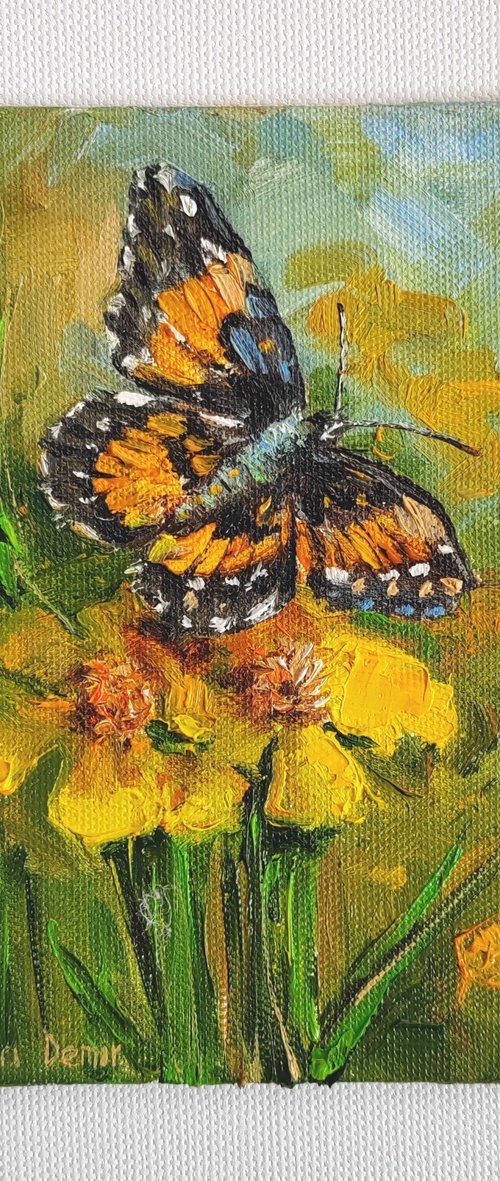 Butterfly on yellow flower oil painting Monarch butterfly picture 4x6" by Leyla Demir