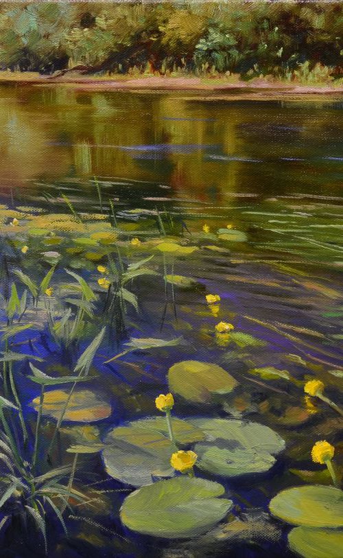 The kingdom of water lilies 40x60cm by Ruslan Kiprych