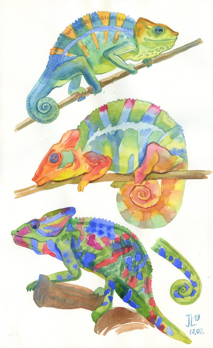 Chameleons Watercolor Colourful Painting Illustration Animal Portrait Nature Tropic by Julia Logunova