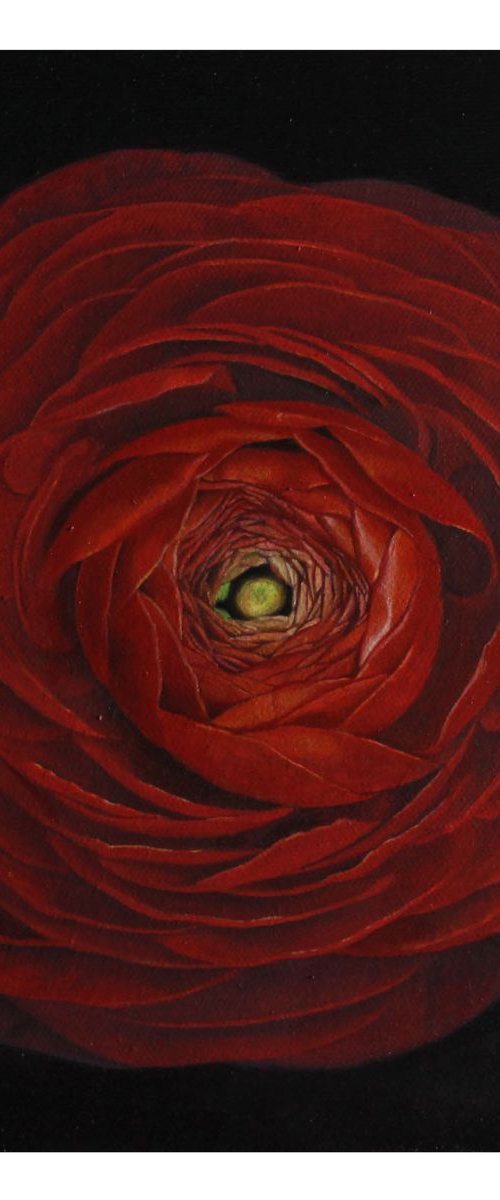 red flower by Darya Klunnikova