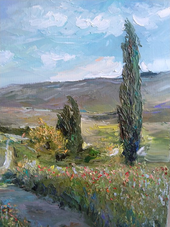 The road to the village (40x50cm, oil painting, impressionistic)