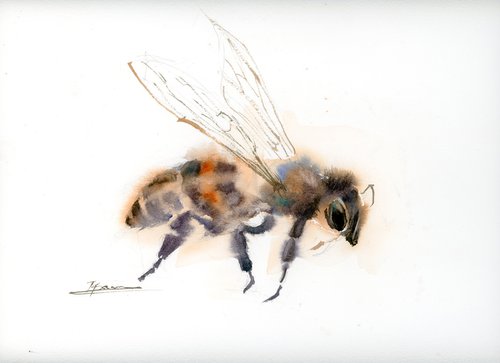 Honey bee by Olga Shefranov (Tchefranov)