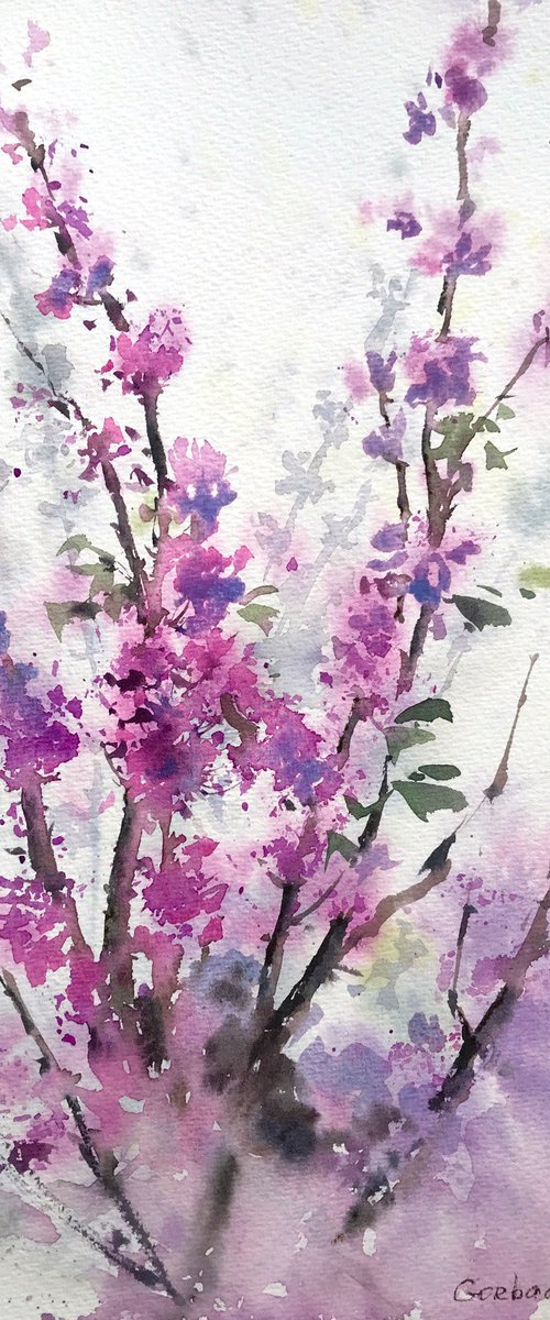 Cercis by Eugenia Gorbacheva