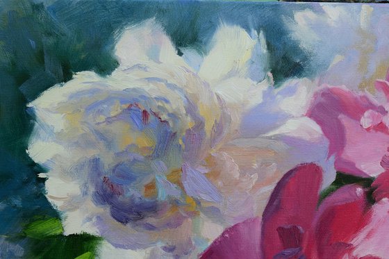 PEONIES ILLUMINATED BY THE SUN