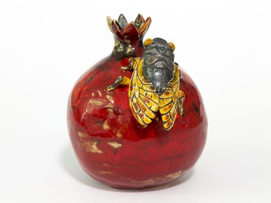 Cicada and pomegranate