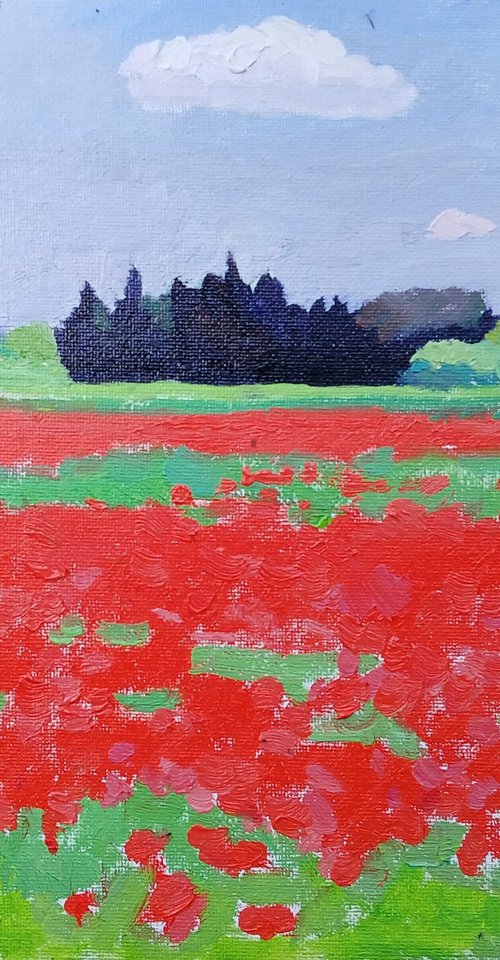 Poppy field by Vasyl Koval