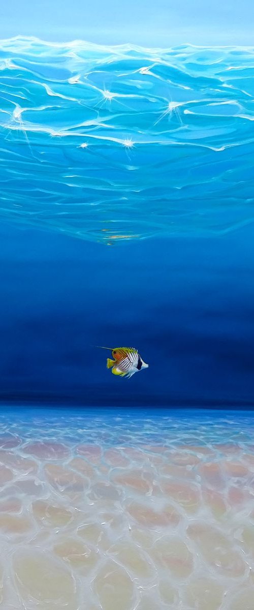The Adventurer Under the Sea by Gill Bustamante