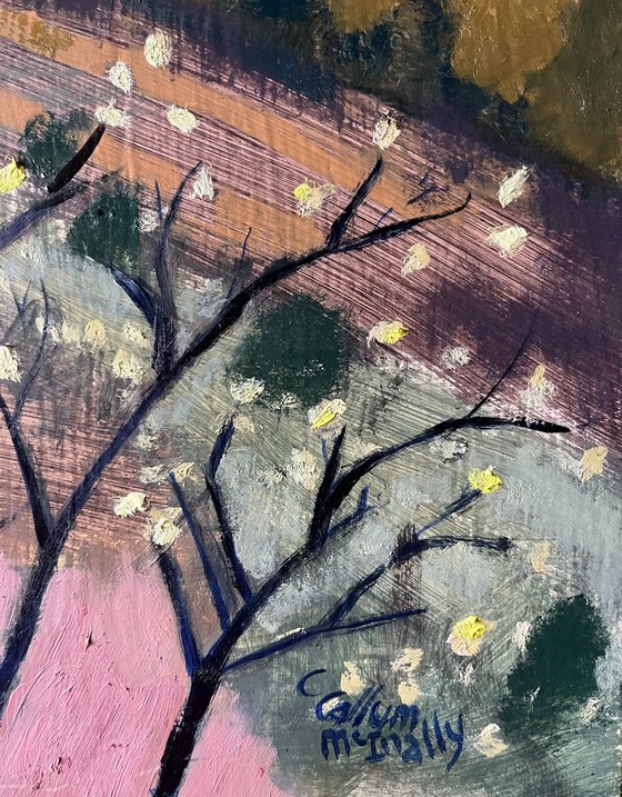 Springtime at Drynie Park