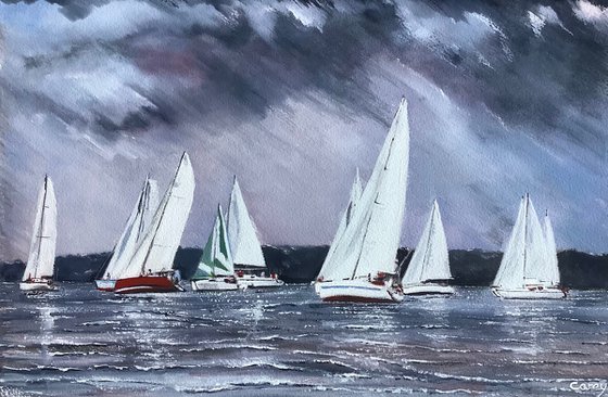 Wind in the sails
