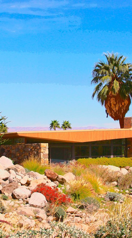 MIDCENTURY ESCAPE Palm Springs by William Dey