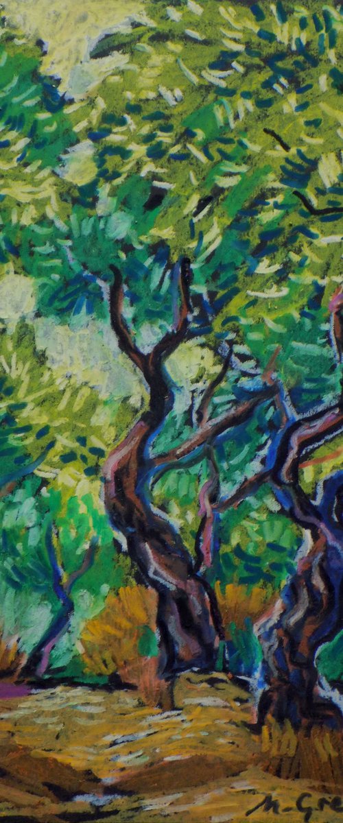 Olive grove No 16 by Maja Grecic