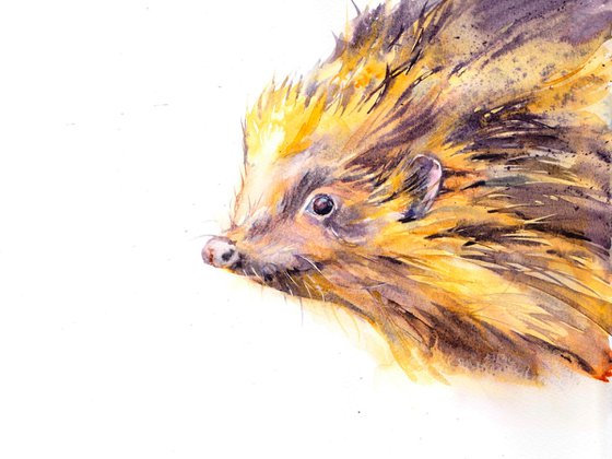 Hedgehog, Original watercolour painting
