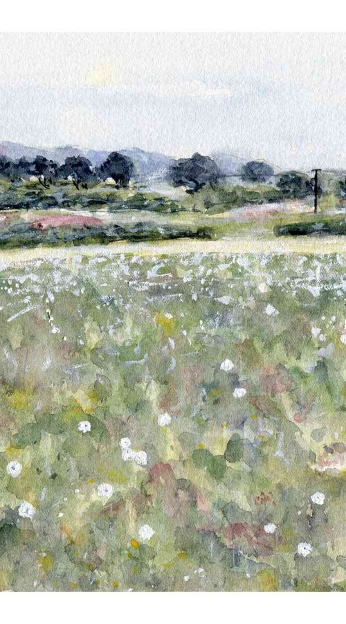 THISTLEDOWN MEADOW by Neil Wrynne