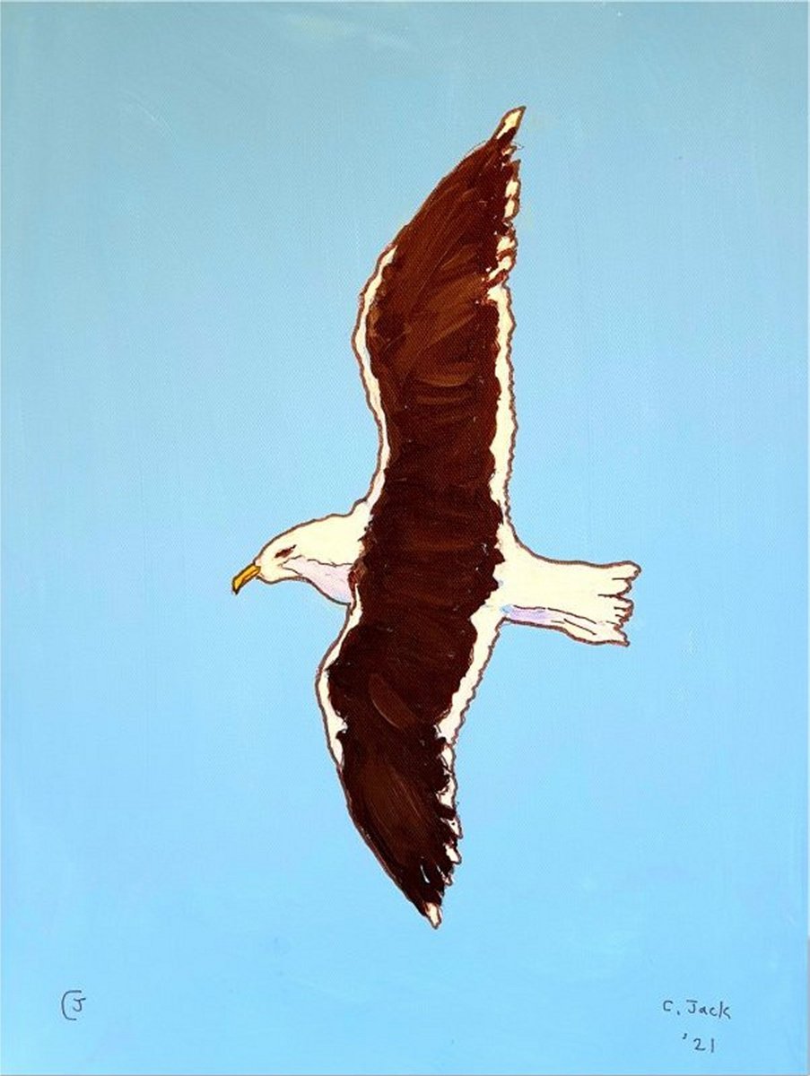 Seagull #8 by Colin Ross Jack