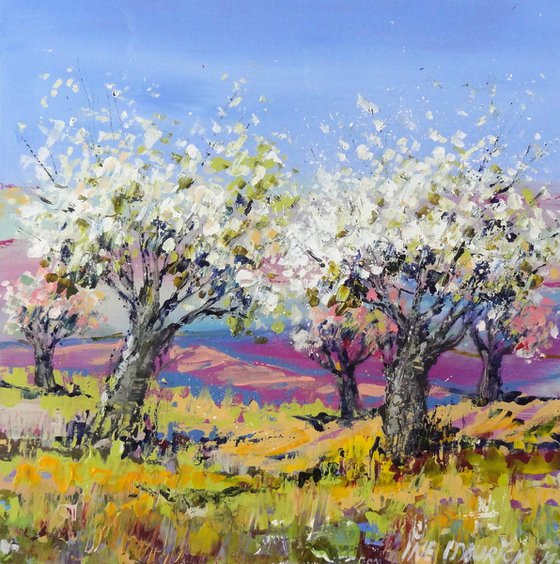 Appletrees in a yellow field