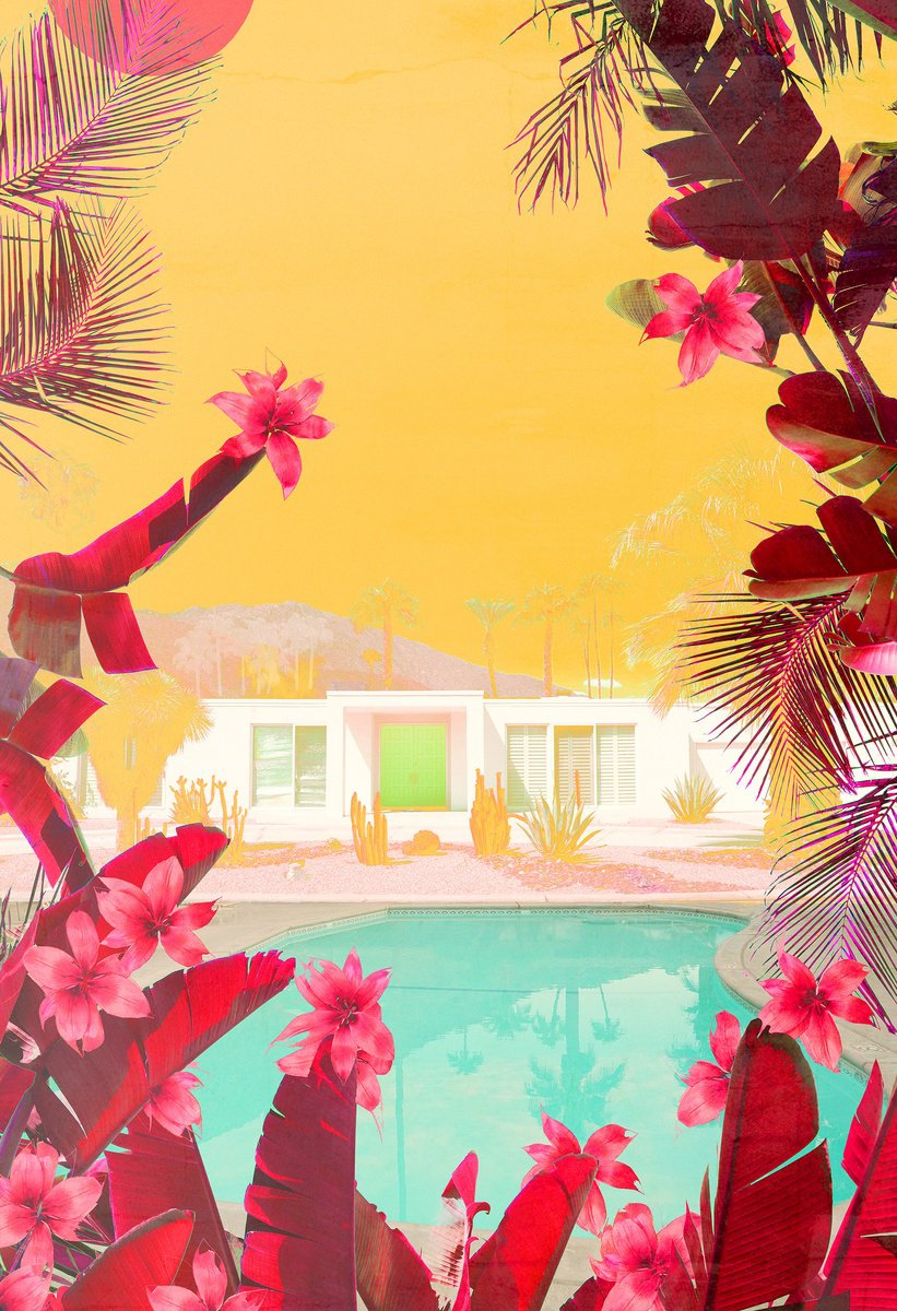 Impressionistic Landscape Photograph By Nadia Attura, 20 X 28", Cactus Hills, Original Artwork