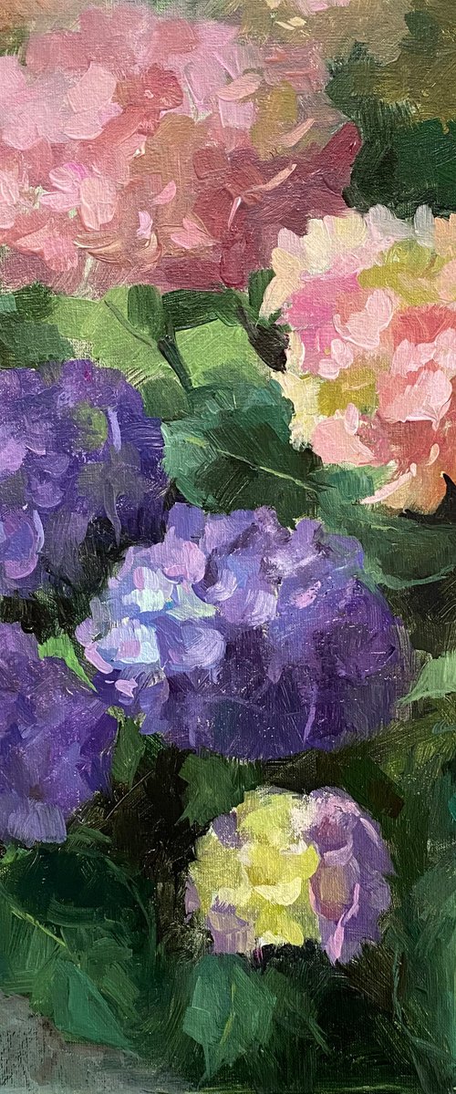 Hydrangea Garden by Ling Strube