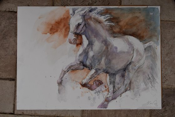 Horse in the run  4 (70x50)