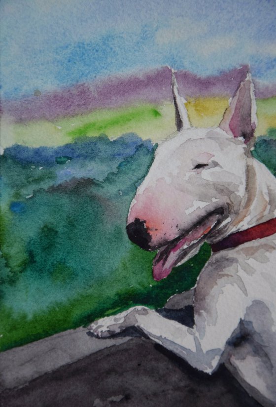 Bull Terrier watercolor painting, dog portrait, animalistic wall art