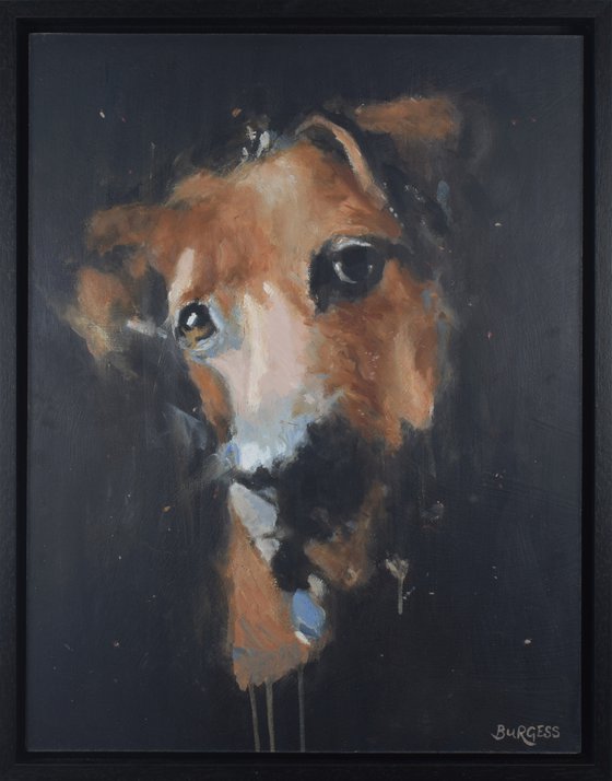 Mischievous - Dog portrait - Framed Oil On Board