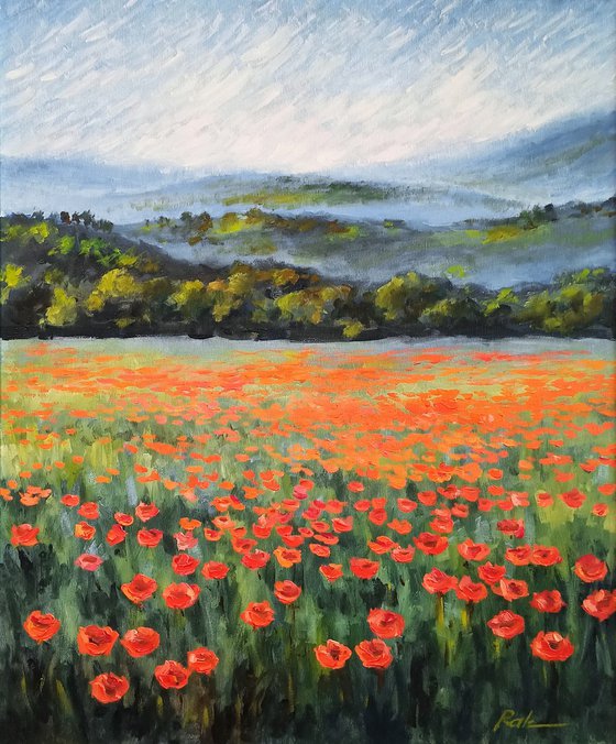 Poppy field in the mountains