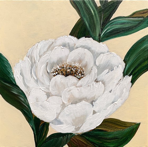 Peony gentle and serene