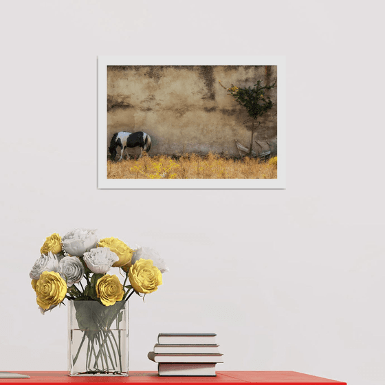 Baked and Grazing. Limited Edition 1/50 15x10 inch Photographic Print