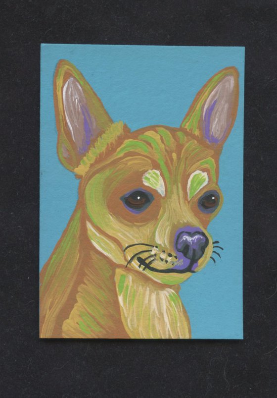 ACEO ATC Original Miniature Painting Colorful Chihuahua  Pet Dog Art-Carla Smale