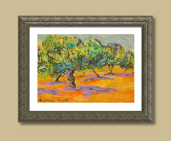 Olive grove No 24