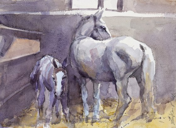 Mare and foal