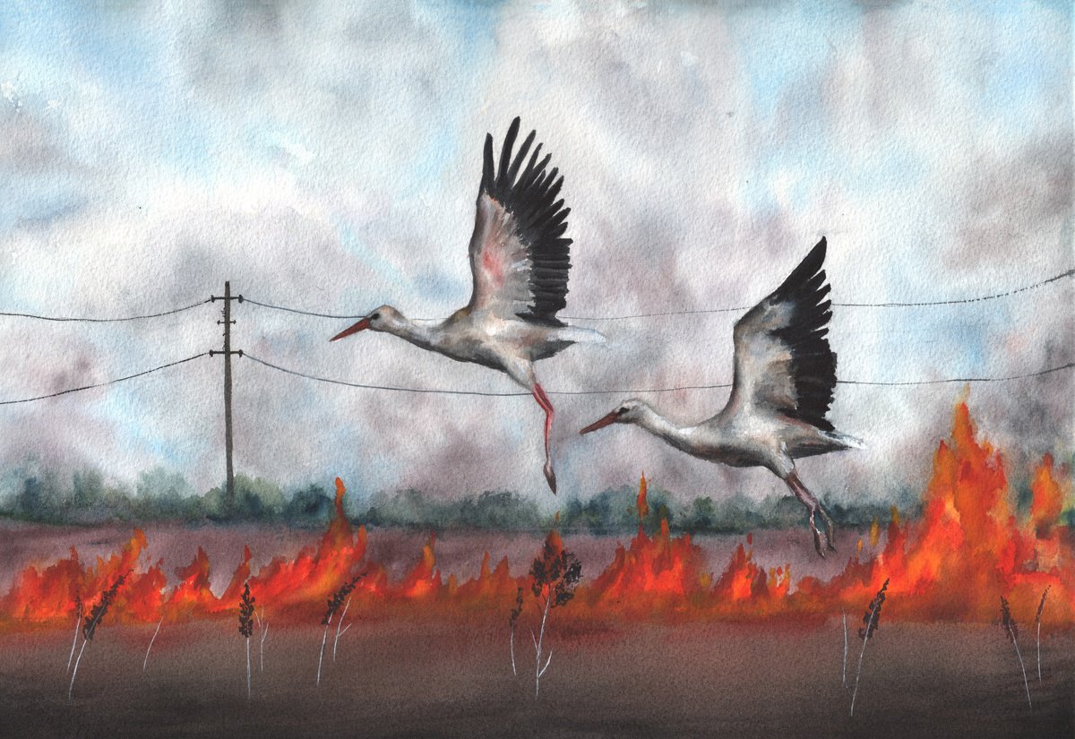 Impressionistic Watercolour , Storks Over Mykolaiv Region By Maryna Boiko, 17 X 13, Artwork For Sale On Artfinder