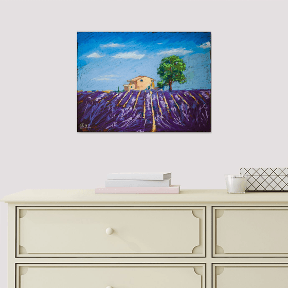 Lavender field in Provence. Medium oil pastel drawing bright colors France