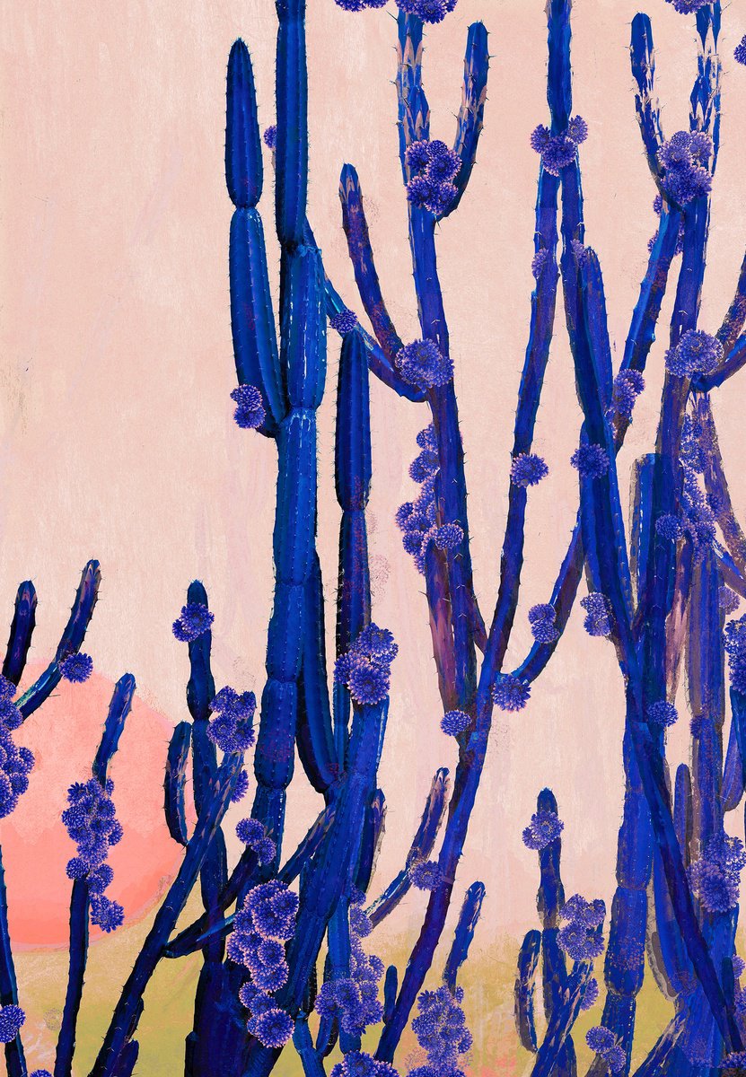 Surrealistic Botanical Photograph By Nadia Attura, 28 X 39", Cactus Valley, Original Artwork