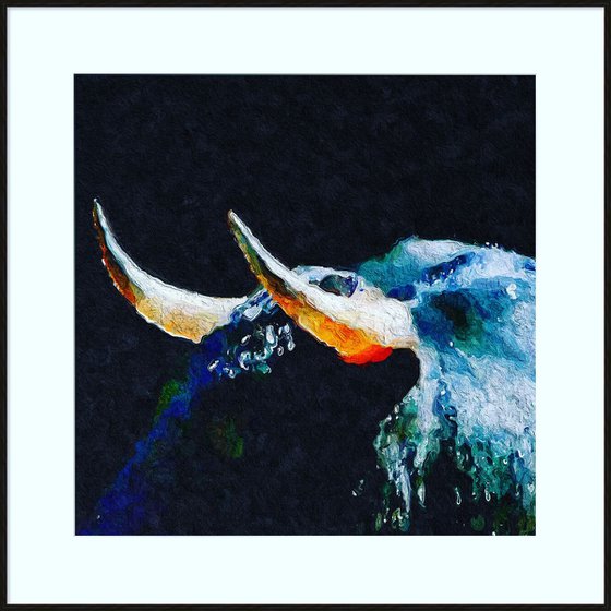 bull horns