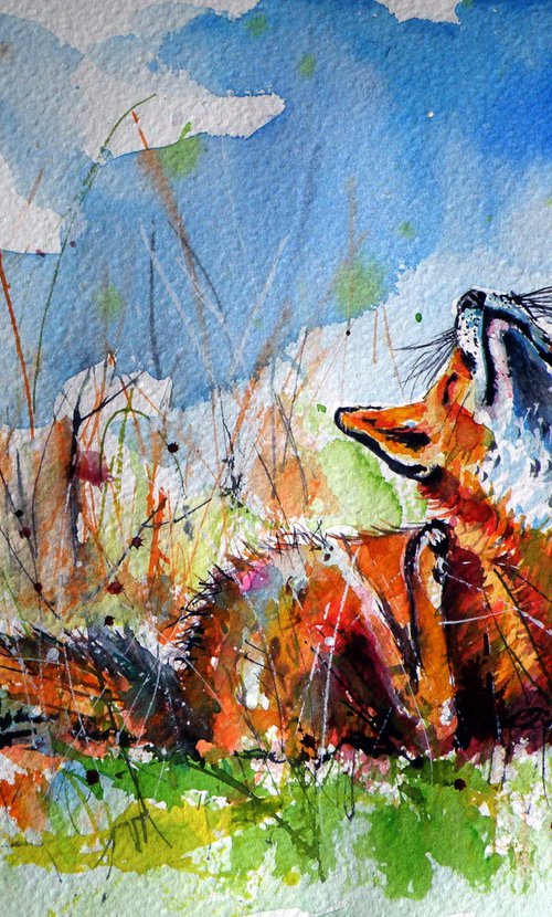 Red fox resting II by Kovács Anna Brigitta