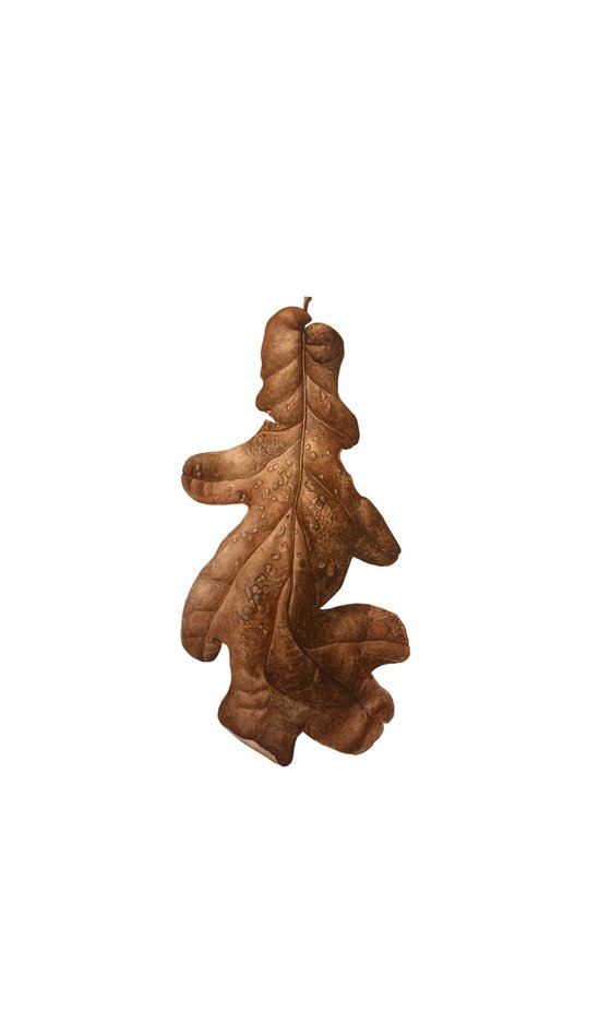 Oak leaf Painting
