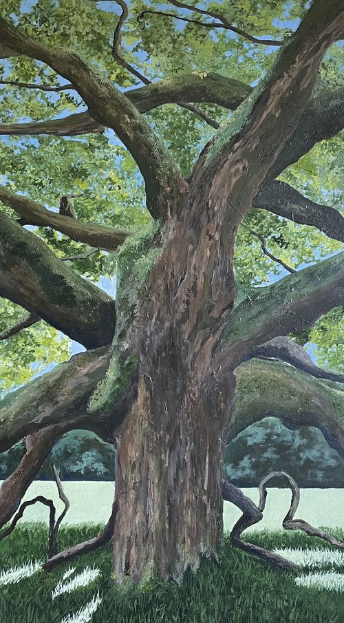 Dance of the Mighty Oak by Anne Shaughnessy