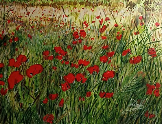 Red poppies flowers