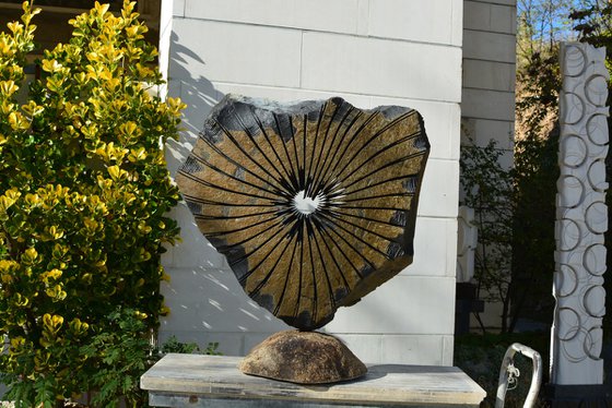 "Zephyr II"