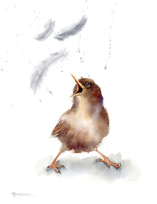 Bird and feather 2 ( 1 of 3) -  Original Watercolor Painting by Olga Tchefranov (Shefranov)