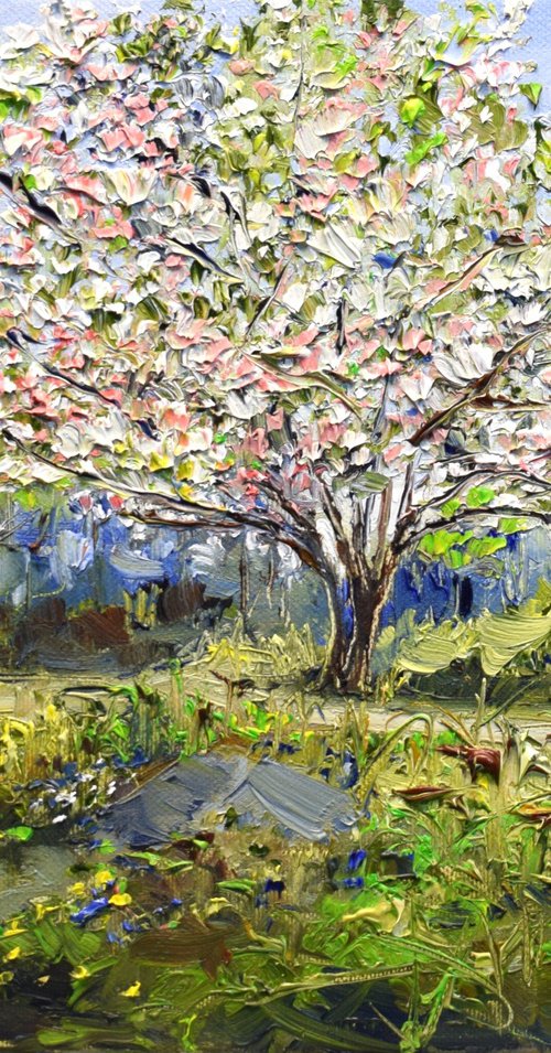 Spring dream by Sonja Brussen