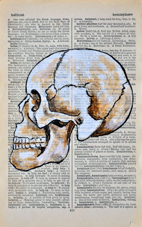 Skull