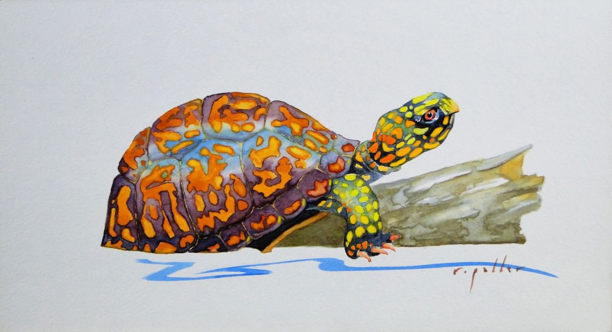 Animal Watercolour By Rick Paller, 11 X 6", Turtle On A Log, Original Artwork