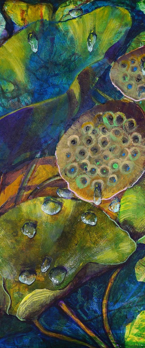 Lotus Fruits I. by Dora Stork