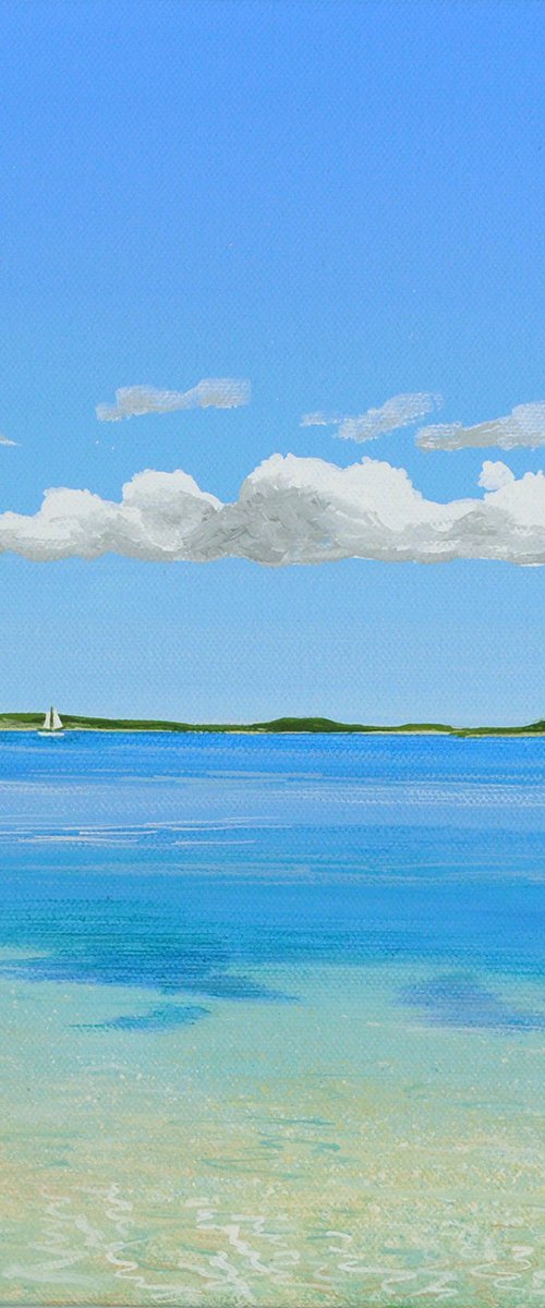 Shallow Waters by Theresa Shaw