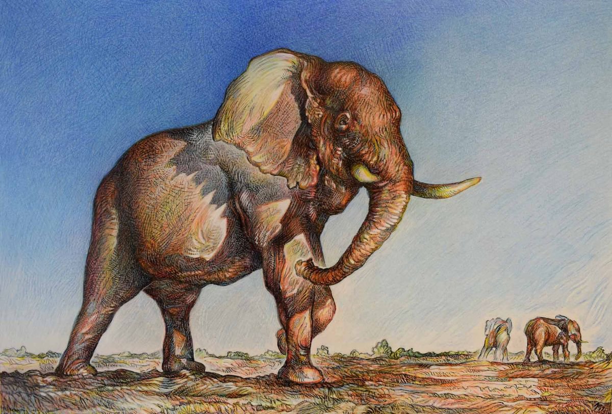 Bull Elephant by Austen Pinkerton