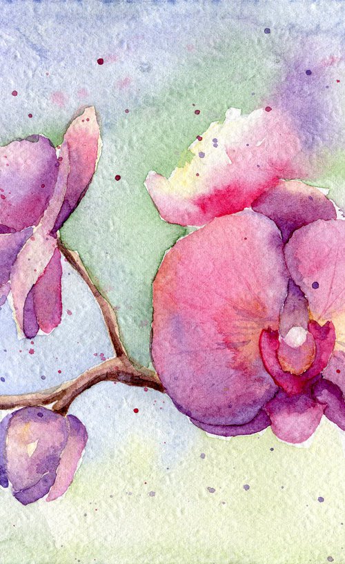 Branch of a blooming orchid. Original watercolor artwork. by Evgeniya Mokeeva