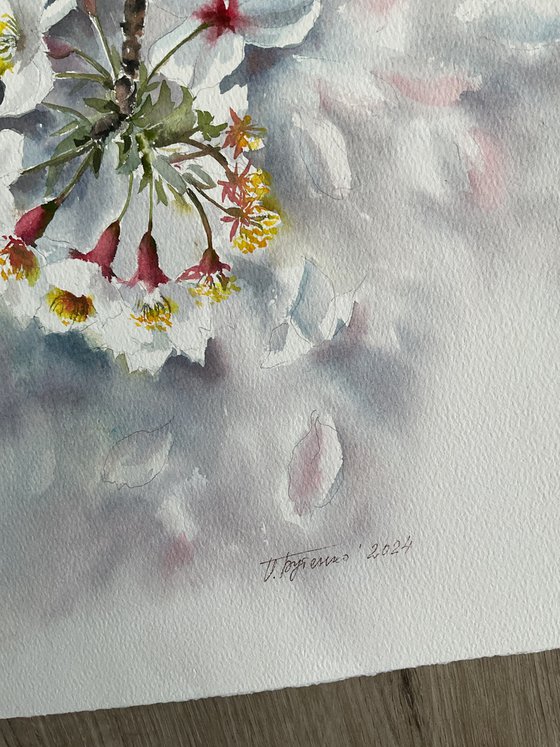 Whisper of petals, blossoms, apples